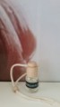 AMBIENTADOR NATURAL DE COCHE AROMA NATURAL A MELON